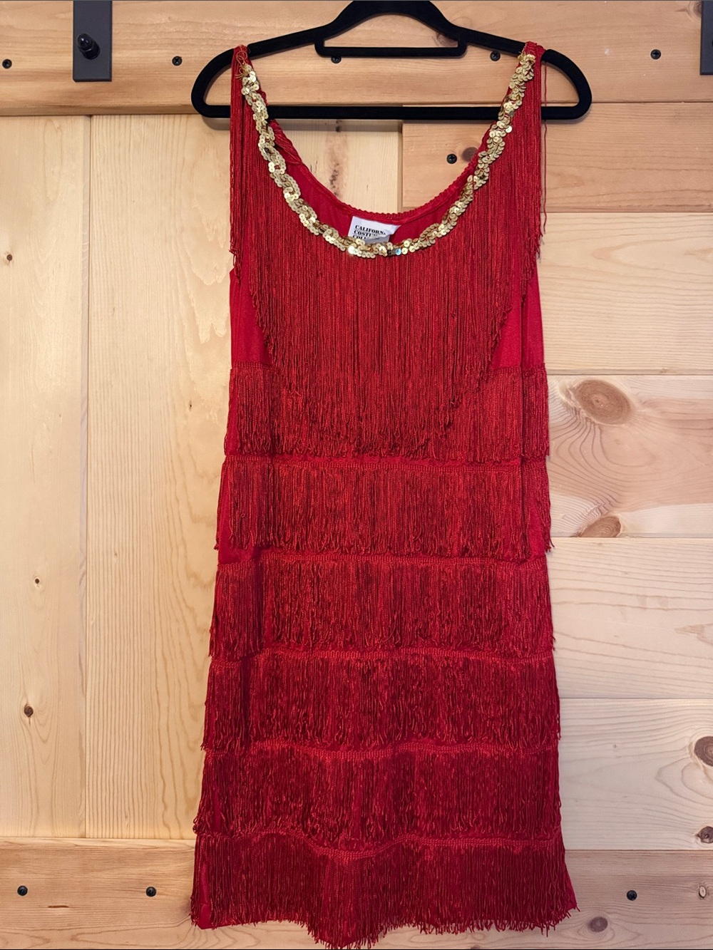 California Costumes Red Fringe 1920 Flapper Girl Dress